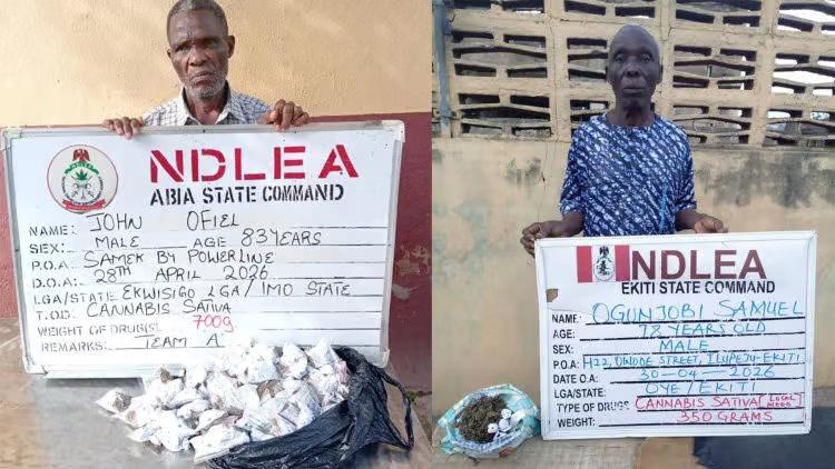 SHOCKING: 83-Year-Old Man, 78-Year-Old, Women, Drivers Arrested in Massive Trafficking Drug Across Nigeria