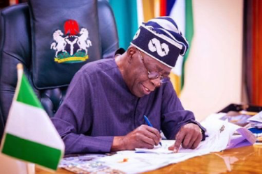 Tinubu Targets $20bn Foreign Investment — But What Will Nigerians Actually Gain?