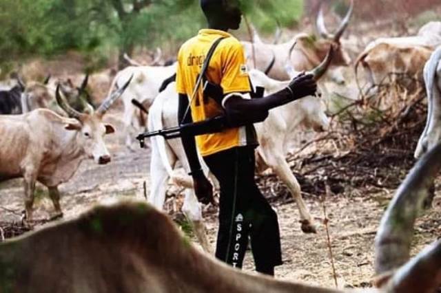 MASS KILLINGS SPARK OUTRAGE: Vigilante Raid Leaves Dozens Dead in Northern Nigeria Crisis Zone