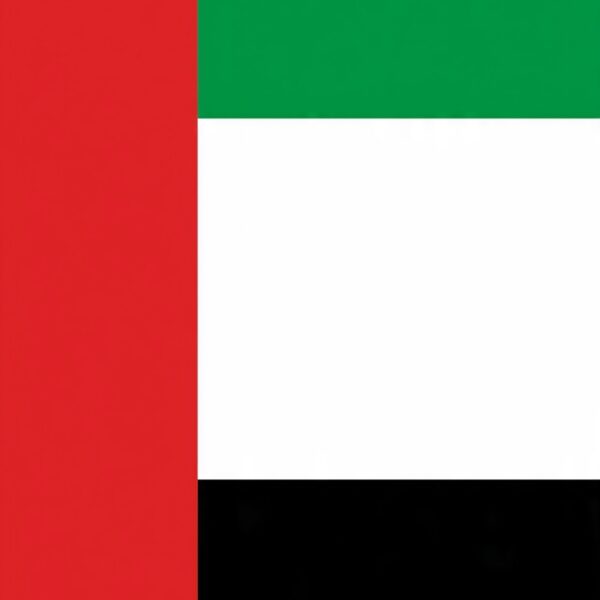 Oil Prices May Rise as India Responds to UAE Drone Attack